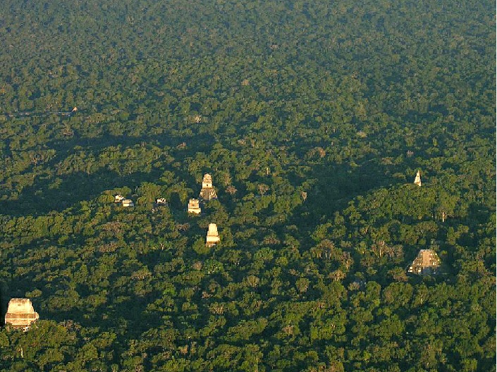 Tikal Birdview