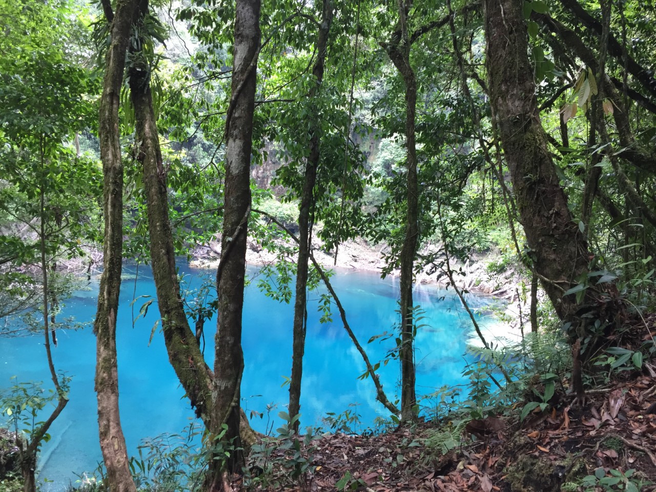 Guatemala El País de la Eterna Primavera Naturaleza en Guatemala